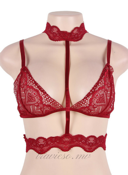 Seductive Strappy Choker Lace Bra Lingerie - travieso.mv