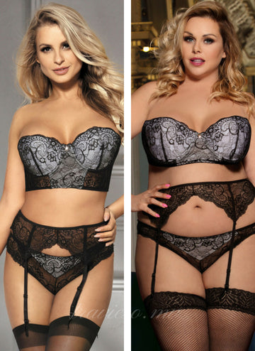 Delicate Lace Bra Garter Set