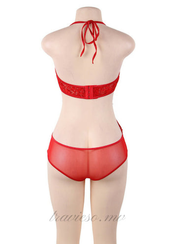 Lace Two-piece Sexy Teddy